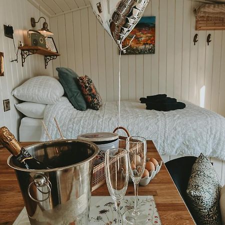 Black Hut At Slieve Croob Glamping Ballyward Esterno foto