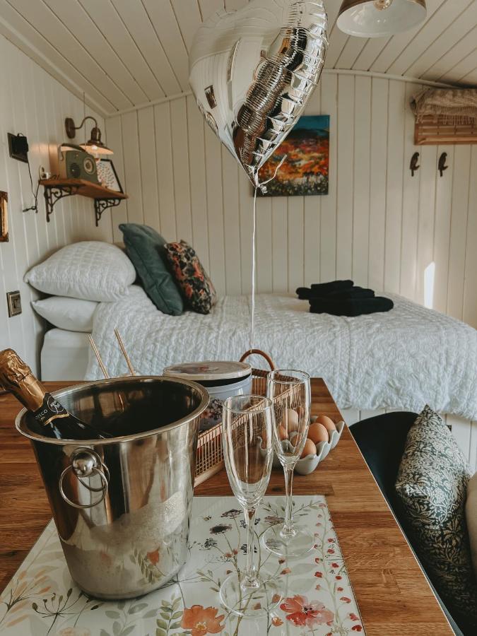 Black Hut At Slieve Croob Glamping Ballyward Esterno foto